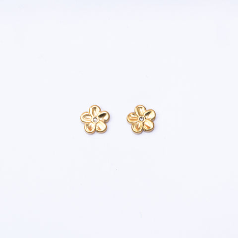 Pendientes acero